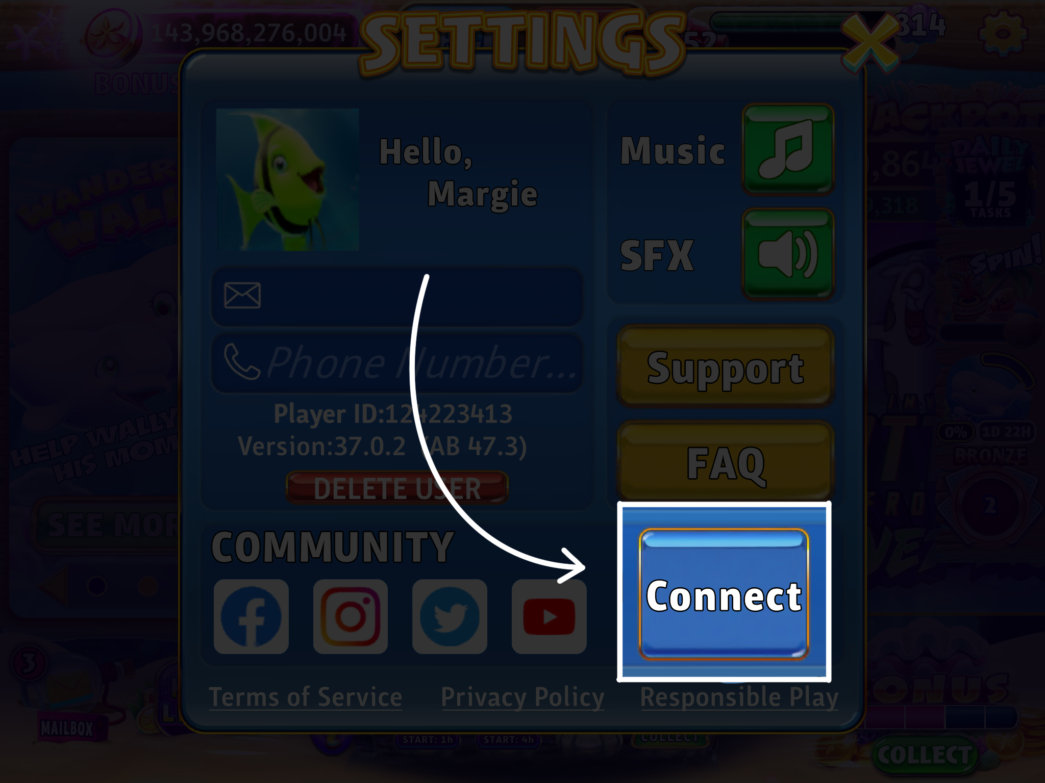 Settings_connect_button.png